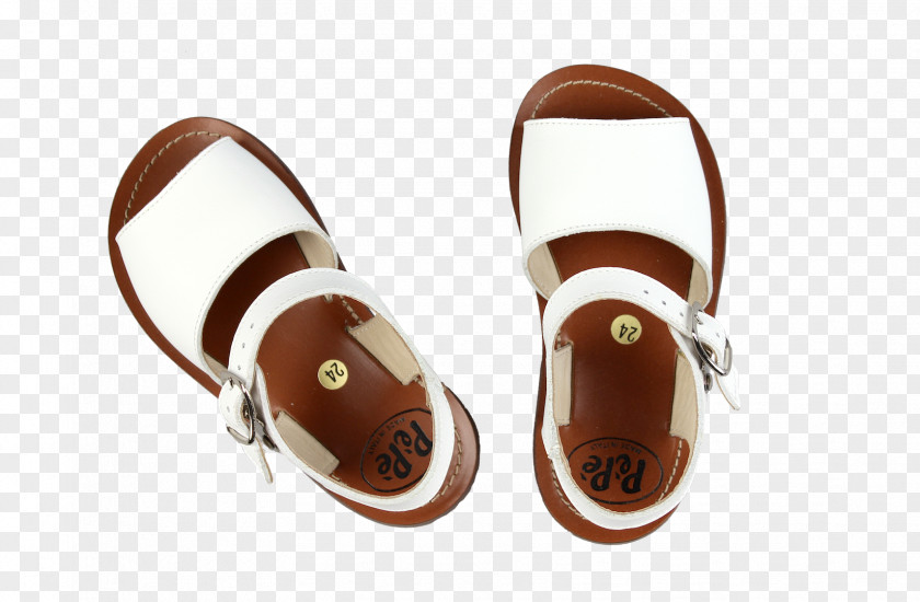 Sandal Leather Shoe PNG