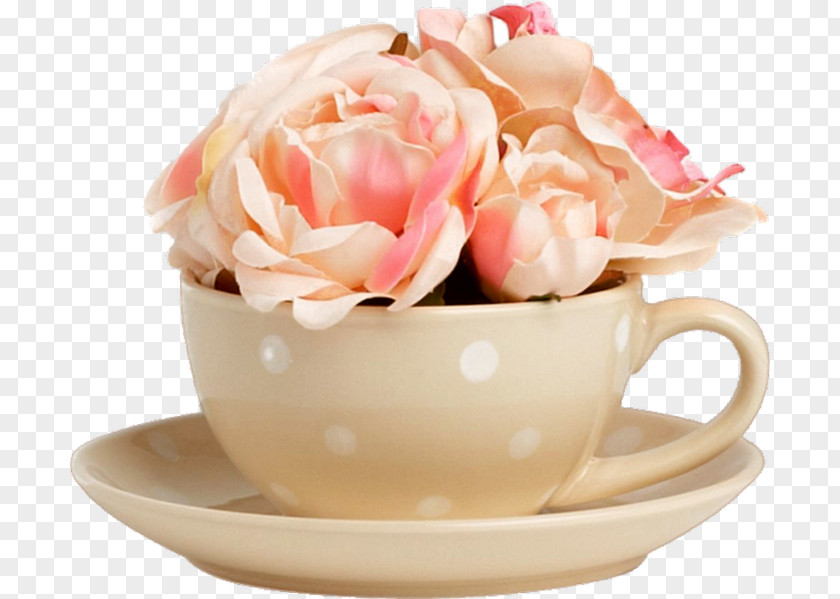 Coffee Cup Teacup Flower Clip Art PNG