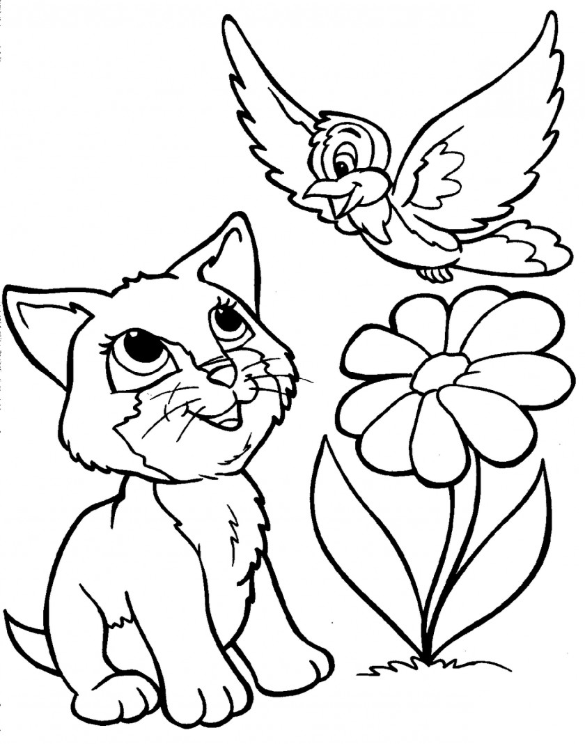 Create Coloring Book Cute Animal Painting Cuteness Page PNG