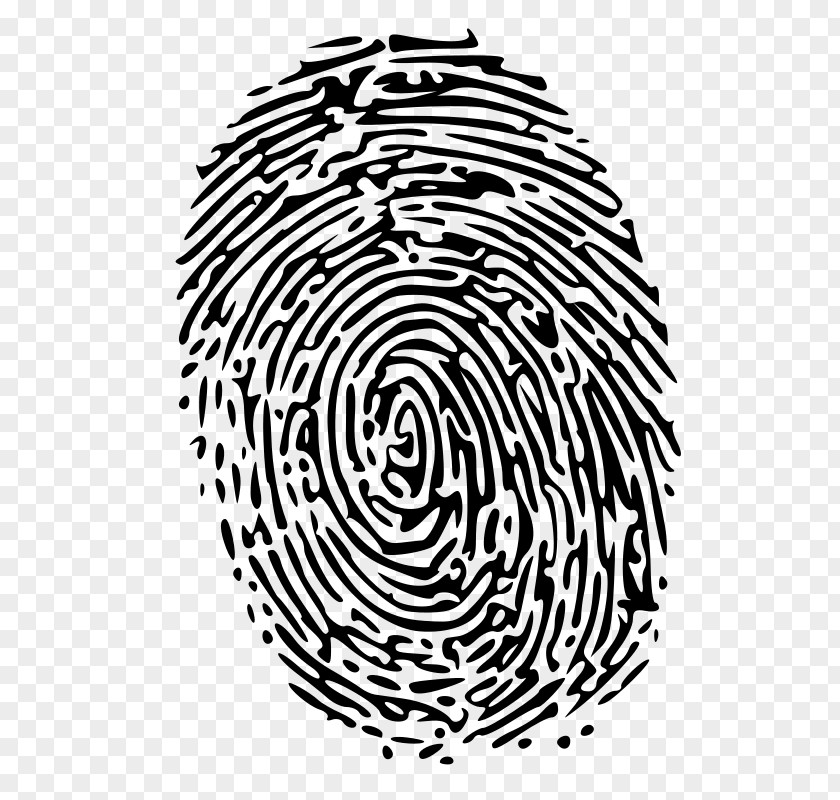 Fingerprint Forensic Science Clip Art PNG