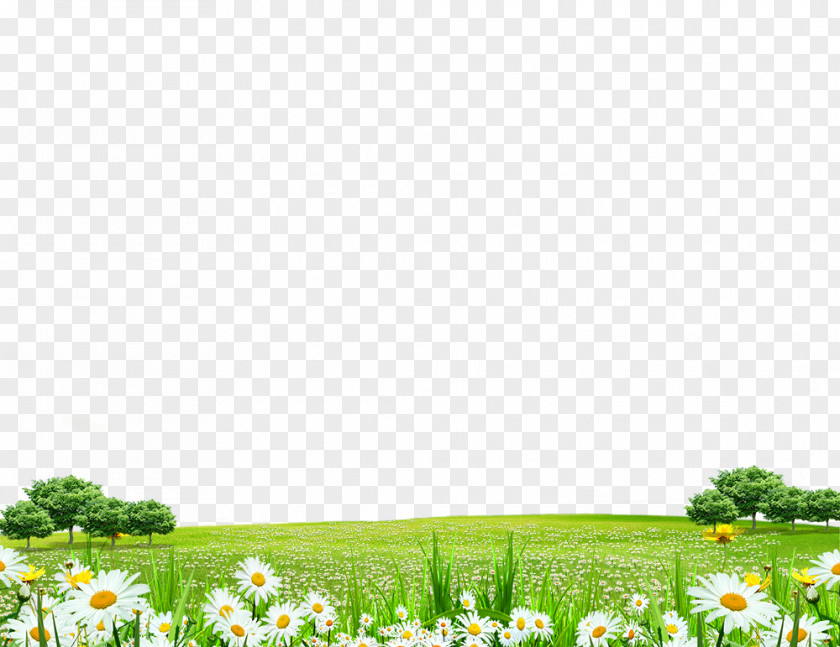 Flowers World Computer File PNG