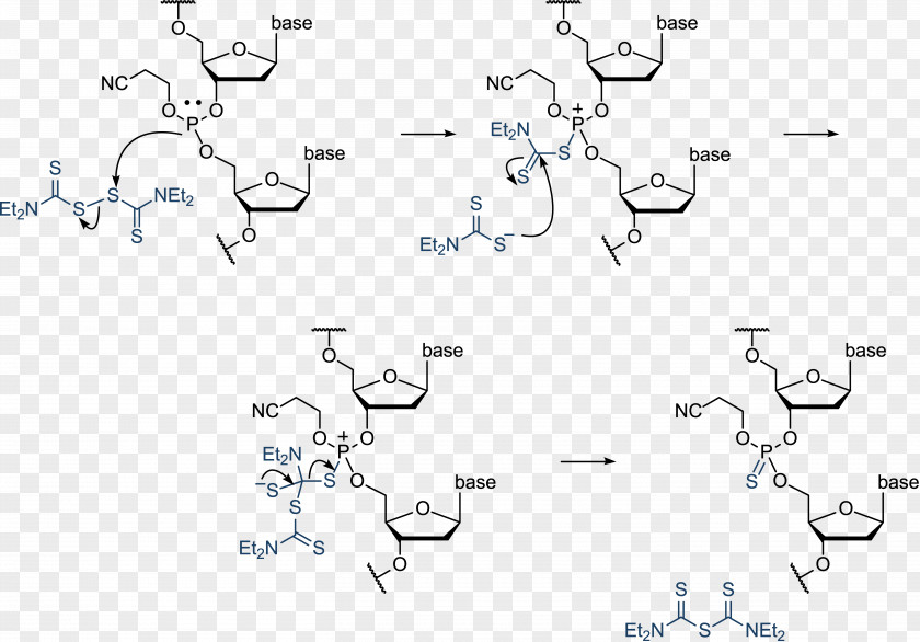 Oligonucleotide Synthesis Phosphoramidite Phosphonate DNA PNG
