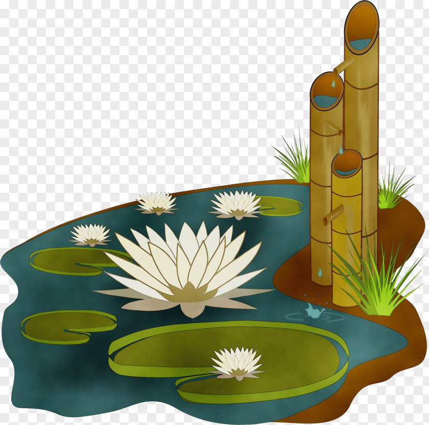 Water Lily Flower Aquatic Plant PNG