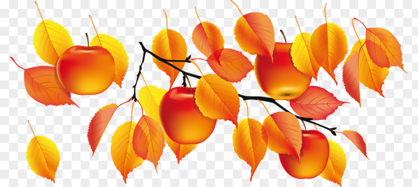 Autumn Golden Clip Art PNG