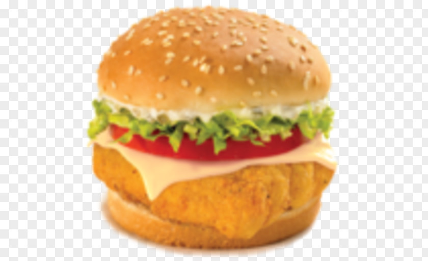 Chicken Hamburger French Fries Cheeseburger Kebab PNG