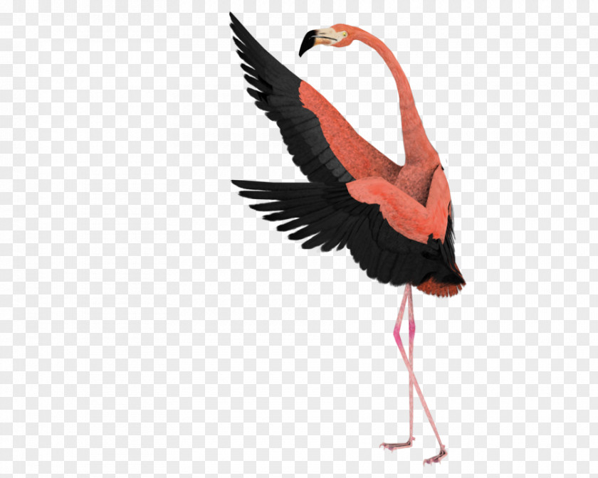 Flamingo Bird Art Drawing Surrealism Clip PNG