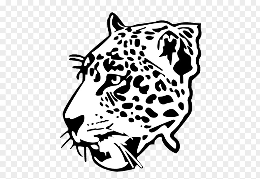 Jaguar West Florida High School Leopard Tiger Cheetah PNG