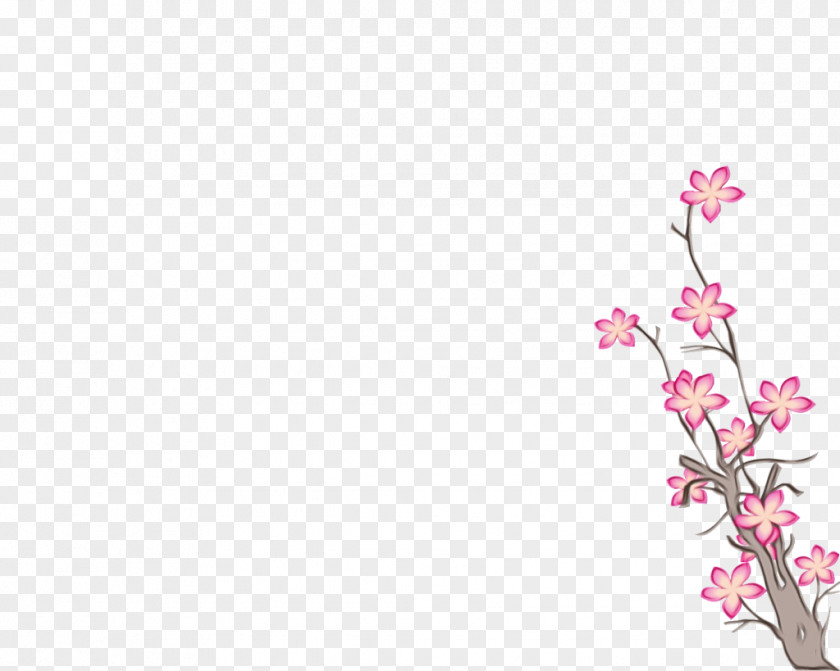 Twig Wildflower Cherry Blossom Cartoon PNG