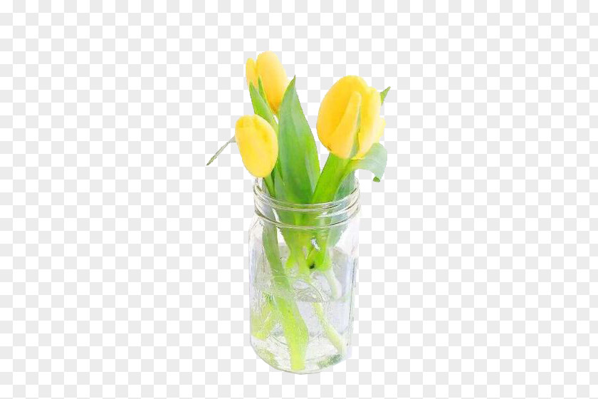 Yellow Tulip Flower Arrangement Floral Design PNG