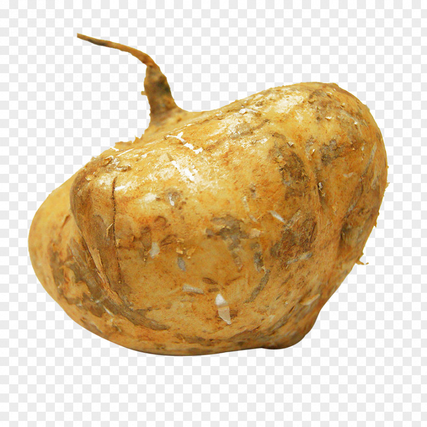 A Cold Potato Jxedcama Download PNG