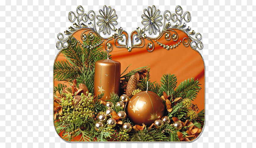 Christmas Ornament Pine Pinaceae PNG
