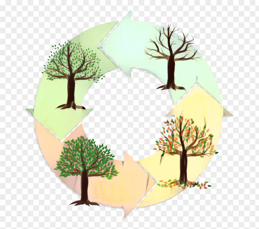 Fir Forest Family Tree Design PNG