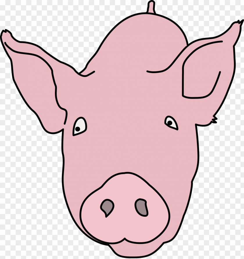 Pig Domestic Coloring Book Line Art Clip PNG