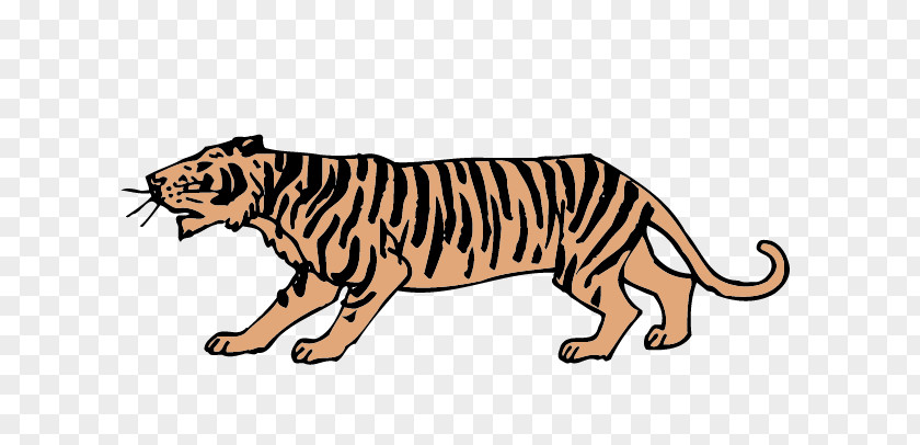 Tiger Lion PNG