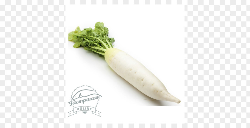 Vegetable Chinese Cuisine Daikon Cải Củ Broccoli PNG