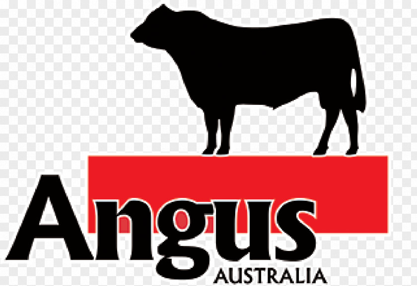 Bull Angus Cattle Red Brangus Bald Blair Triple A PNG