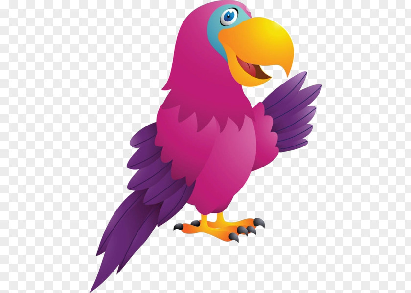 Cartoon Parrot Material True Bird Cockatoo Clip Art PNG