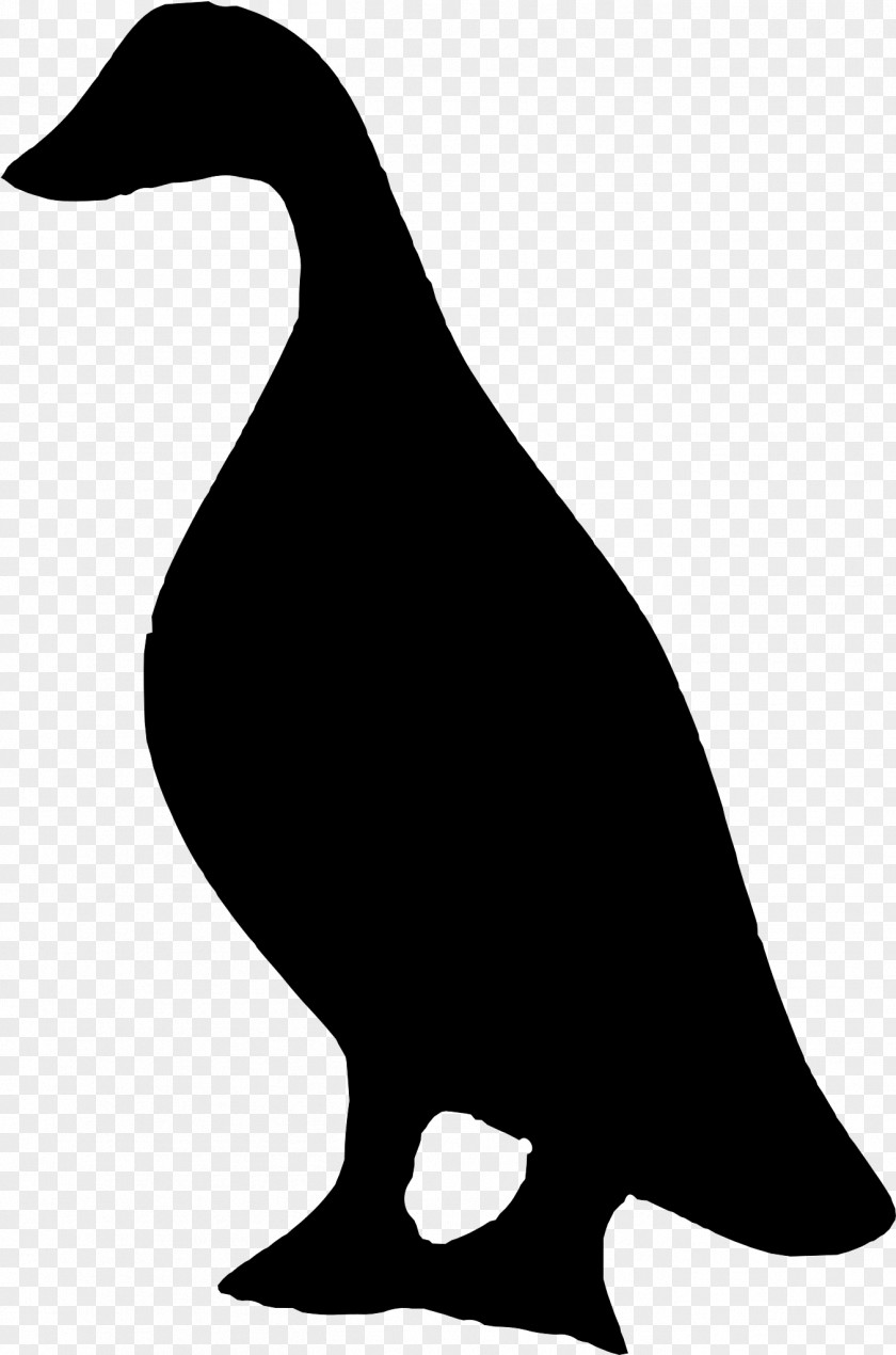 Duck Drawing Clip Vector Graphics Art Illustration Silhouette PNG