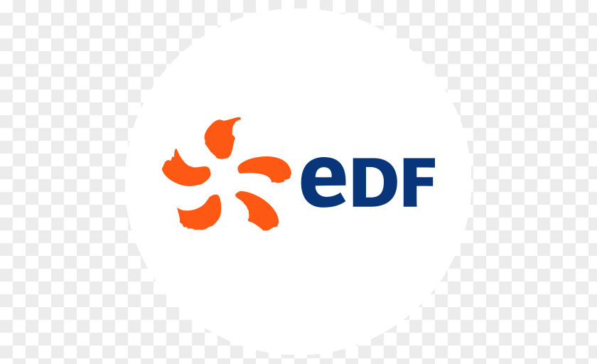 Energy EDF Fenice International SAS Networks PNG