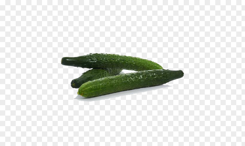 Fresh Cucumber Pickled Muskmelon PNG