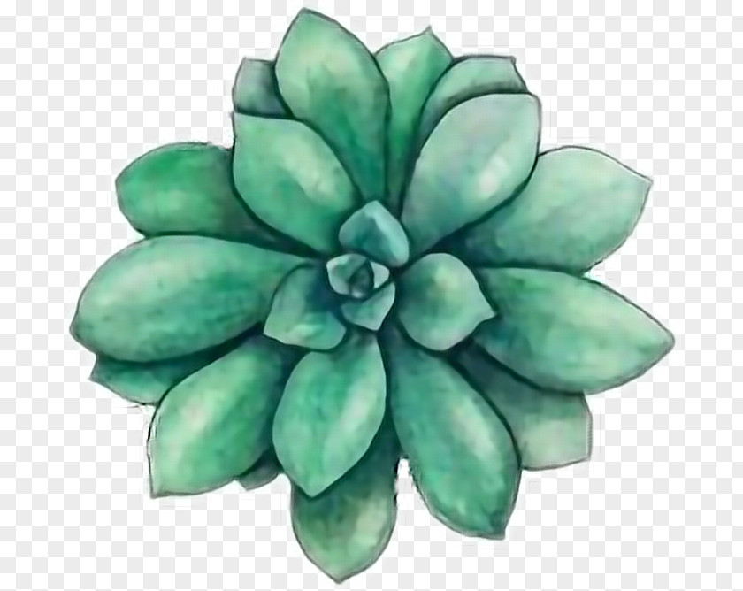 Green Cactus Bloom Watercolor Painting Watercolor: Flowers Succulent Plant Drawing PNG