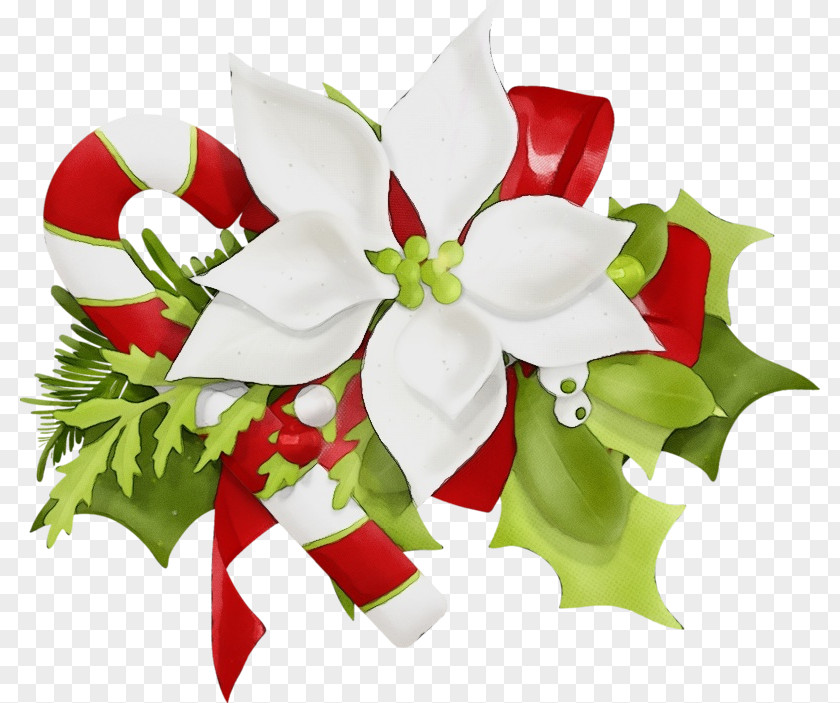 Poinsettia Bouquet Holly PNG