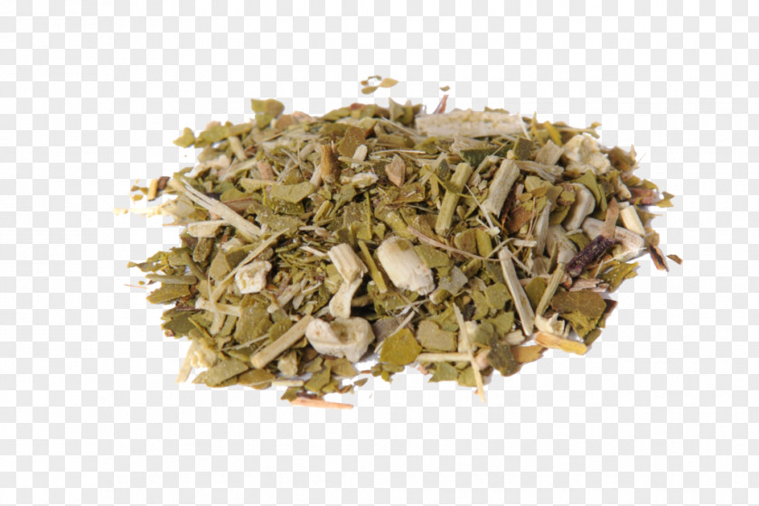 Tea Yerba Mate Food Biluochun PNG