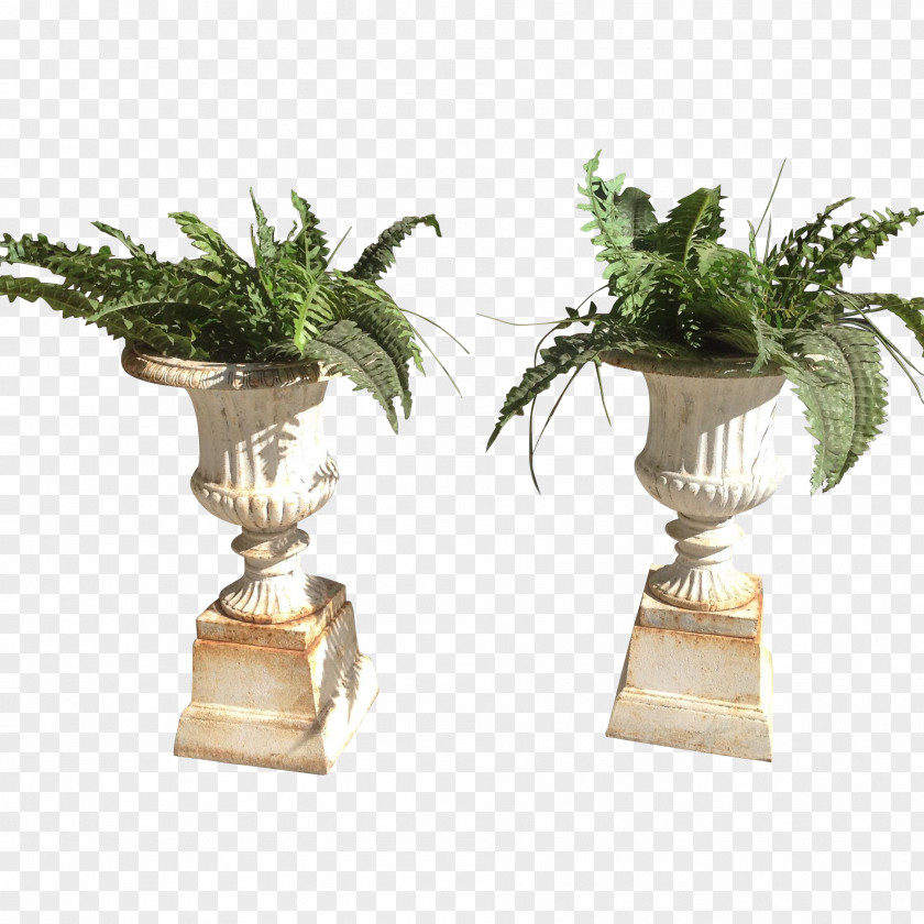 Vase Plant PNG