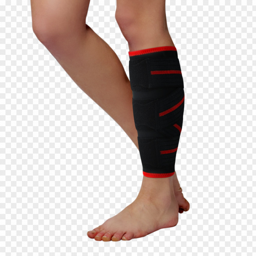 Arm Calf Orthotics Gastrocnemius Muscle Crus PNG