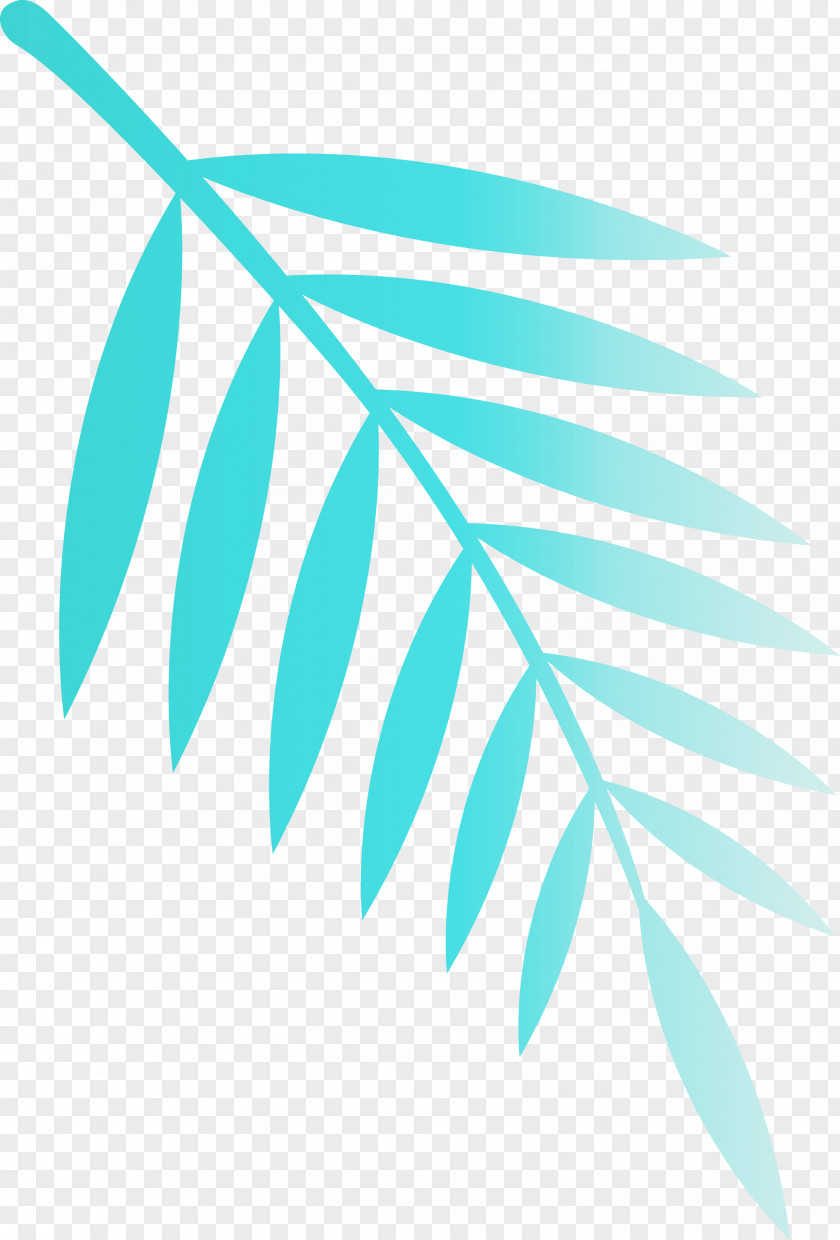 Leaf PNG