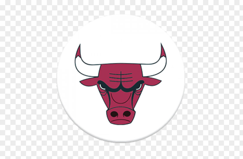 Nba Chicago Bulls NBA Atlanta Hawks Charlotte Hornets Boston Celtics PNG