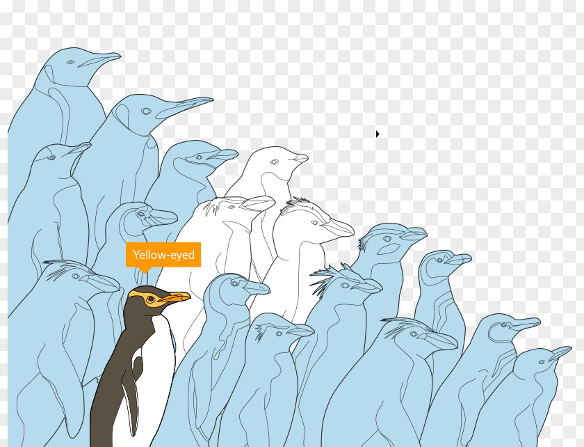 Penguin Fiction Flightless Bird PNG