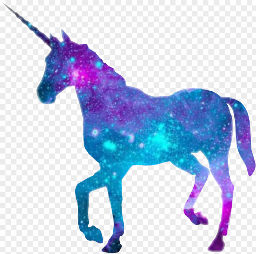 Unicorn The Black Horse Desktop Wallpaper Clip Art PNG