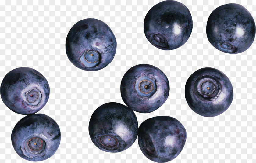 Blueberries European Blueberry Bilberry PNG