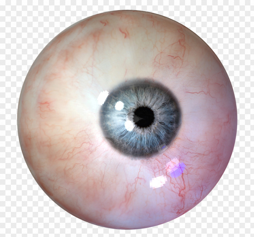 Eye Human PNG