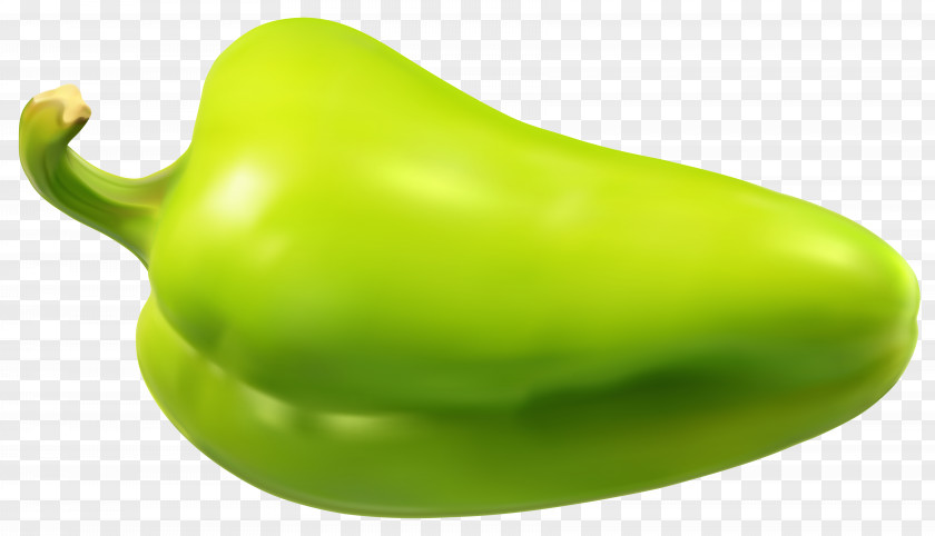 Green Pepper Transparent Clip Art Image Bell Chili Vegetable Jalapeño PNG