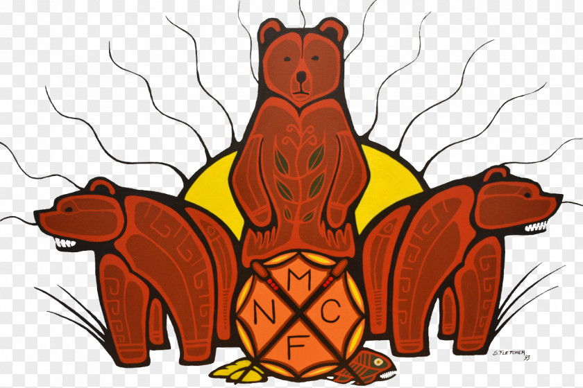 Grizzly Bear Wildlife Cartoon PNG