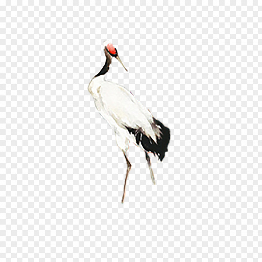 Gull Deer Crane In Chinese Mythology Ink PNG
