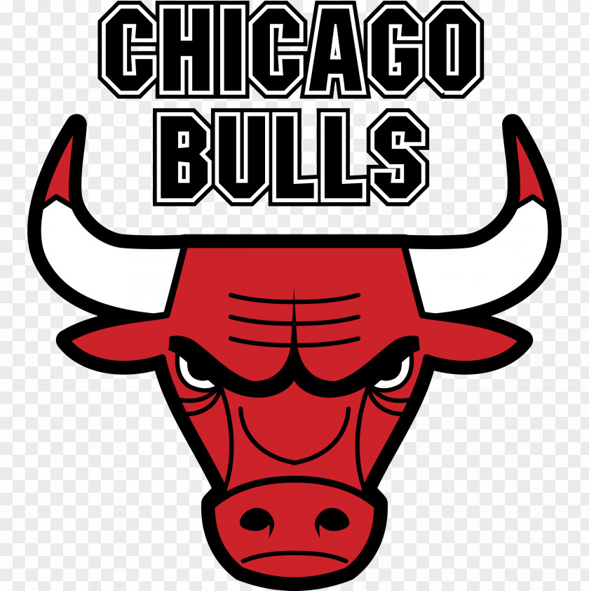 Nba Chicago Bulls NBA United Center Washington Wizards PNG