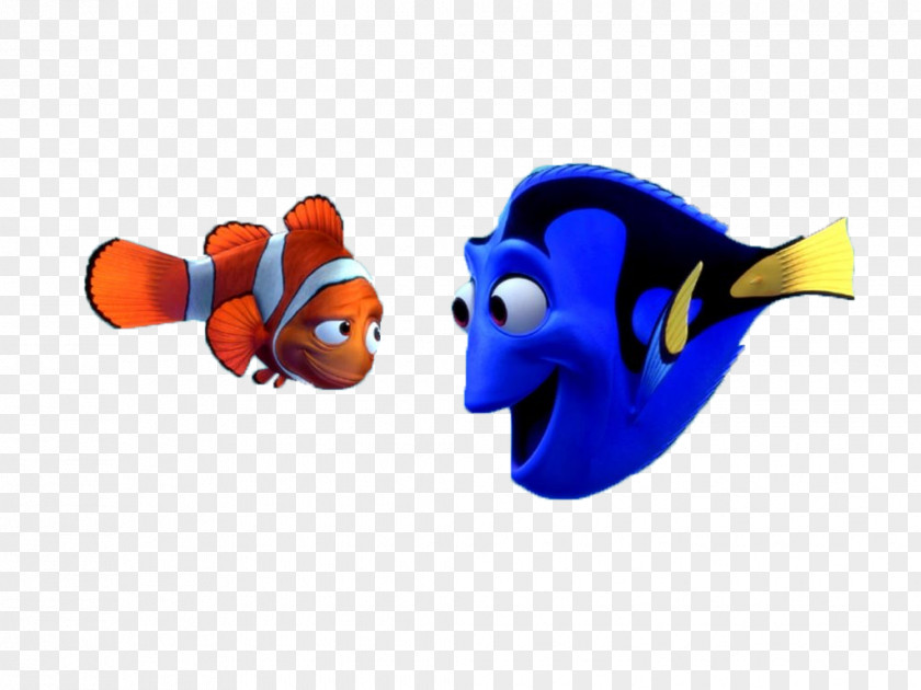 Nemo Marlin Animated Film Pixar Desktop Wallpaper PNG