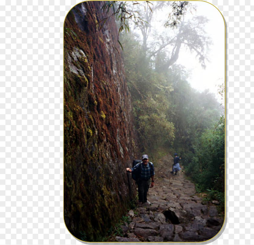 Peru Inca Trail To Machu Picchu Road System Empire Inti Punku PNG