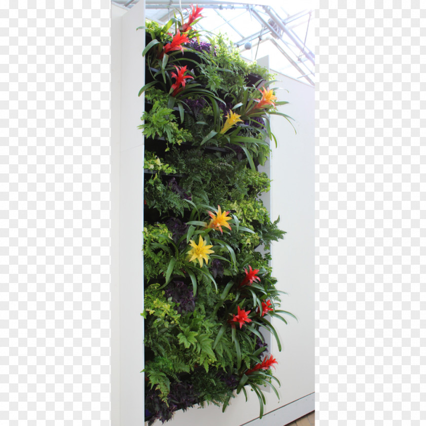 Plant Flora Green Wall Flower Office PNG