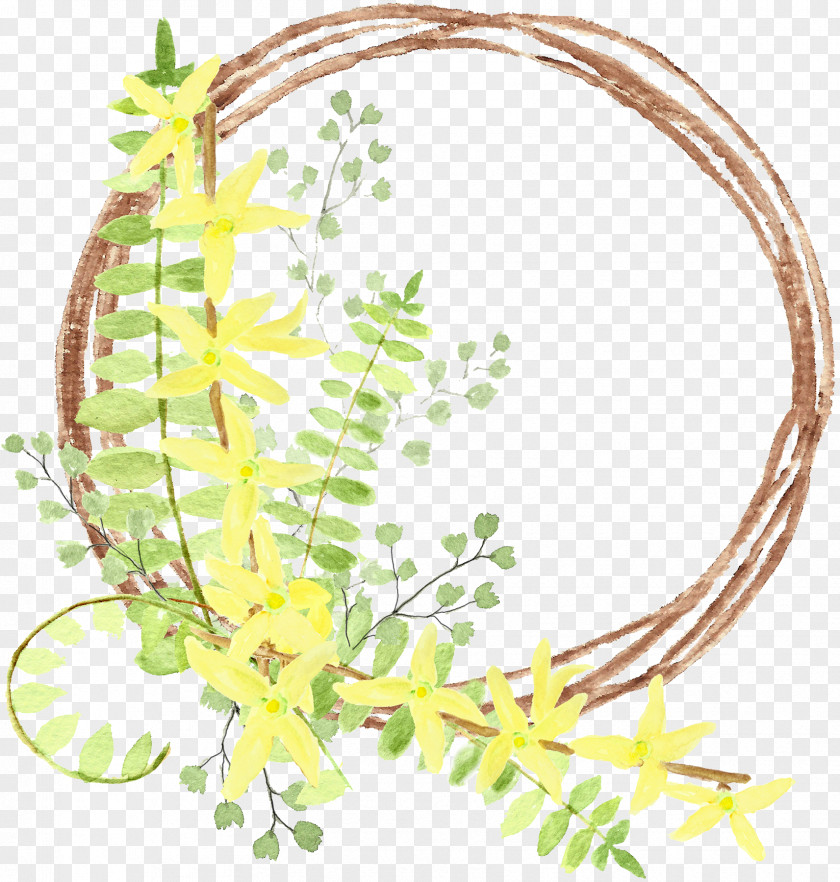 Plant Plants Floral Leaf PNG