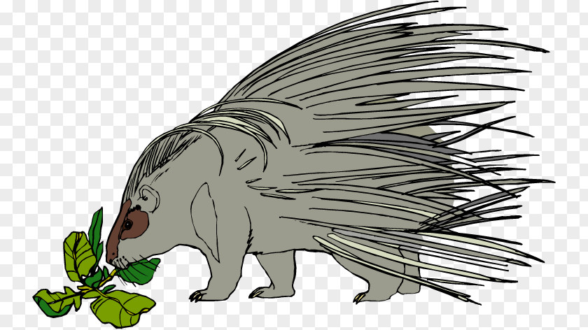 Porcupine Cliparts Hedgehog Free Content Royalty-free Clip Art PNG