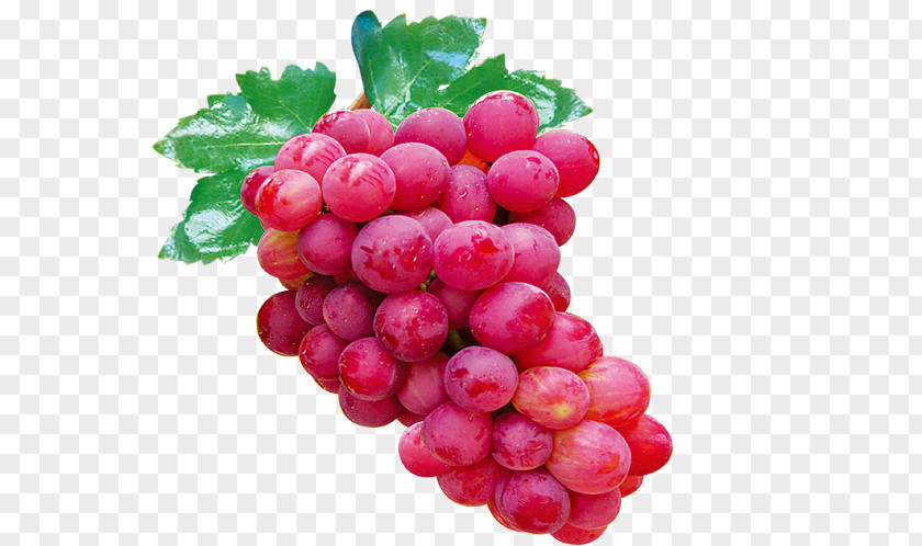 Red Grapes Grape Auglis Icon PNG