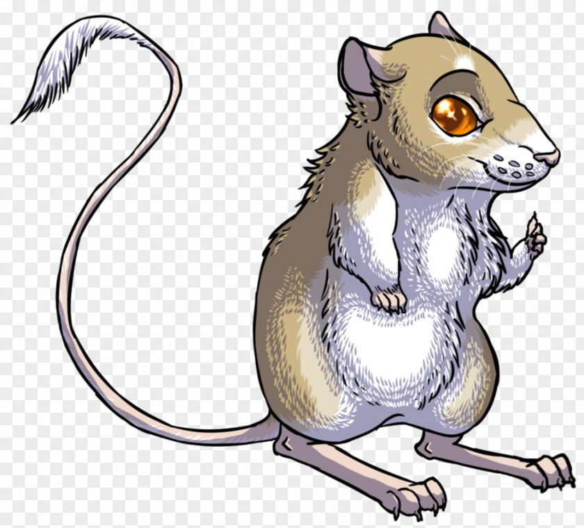 Cartoon Kangaroo Rat Cat Rodent Mouse PNG