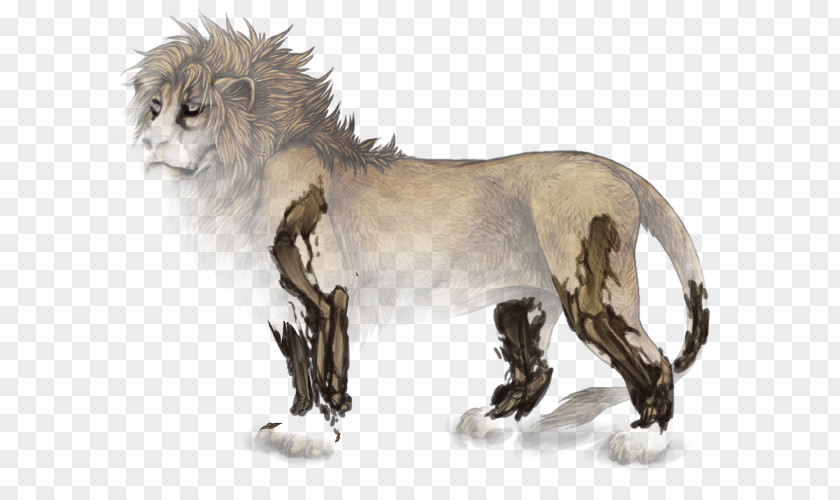 Lion Big Cat Manticore Personality PNG