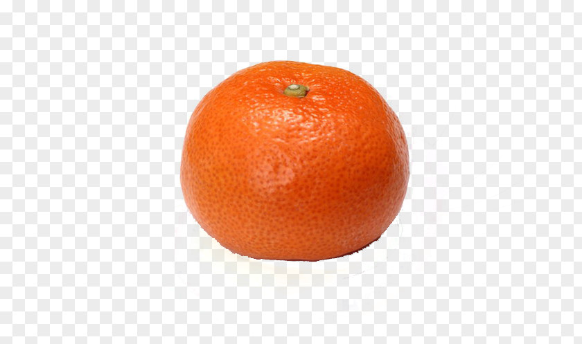 3d Fruits Silhouettes Painted Material Clementine Blood Orange Mandarin Grapefruit Tangerine PNG