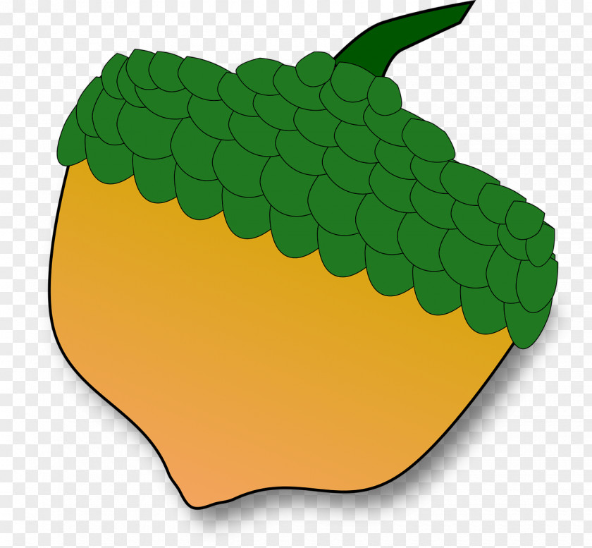 Acorn Clip Art PNG