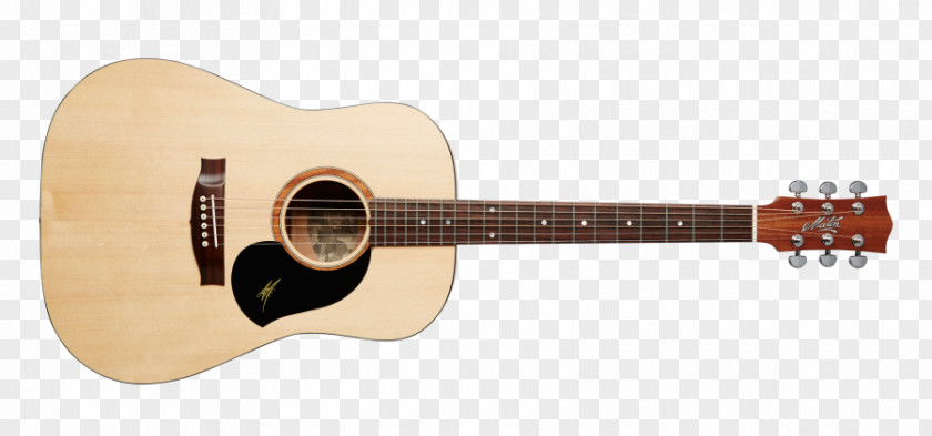 Acoustic Guitar Twelve-string Maton Acoustic-electric Cutaway PNG